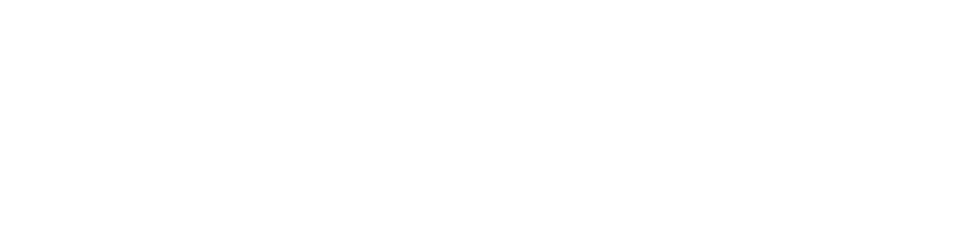 PayConnectX - The Payment Specialist